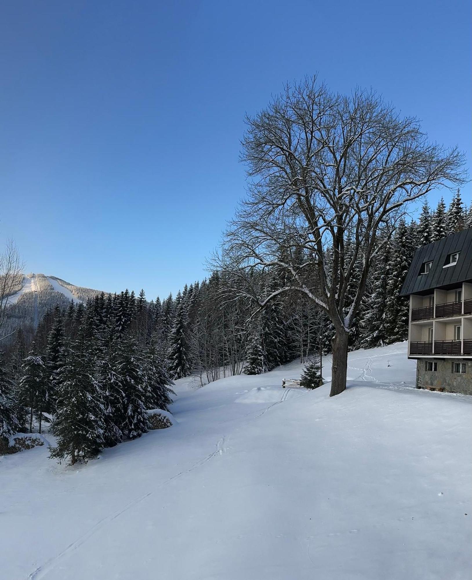 Hotel Horni Pramen Špindlerŭv Mlýn Eksteriør bilde